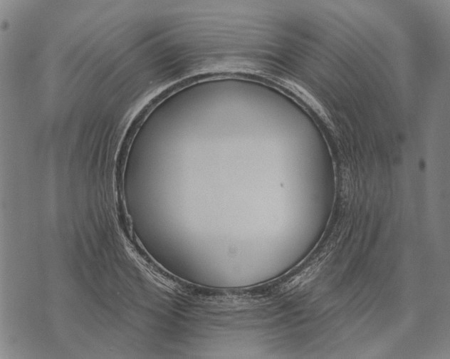 X0000073760980200608241408