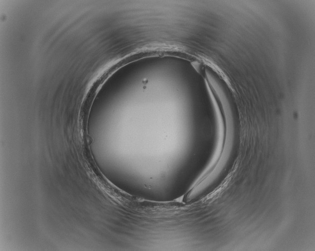 X0000073760981200608241407