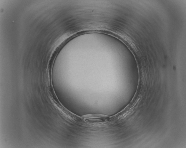 X0000073760982200608241407