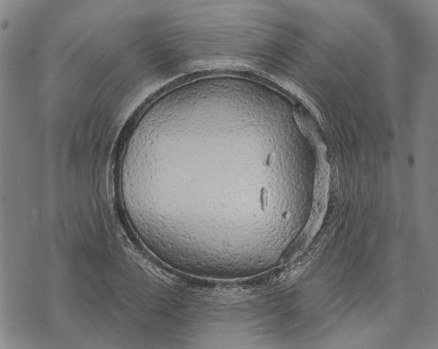 X0000073760983200608241407