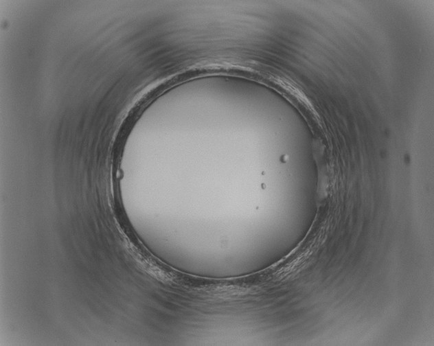 X0000073760984200608241407