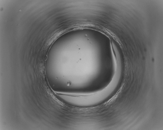 X0000073760985200608241407