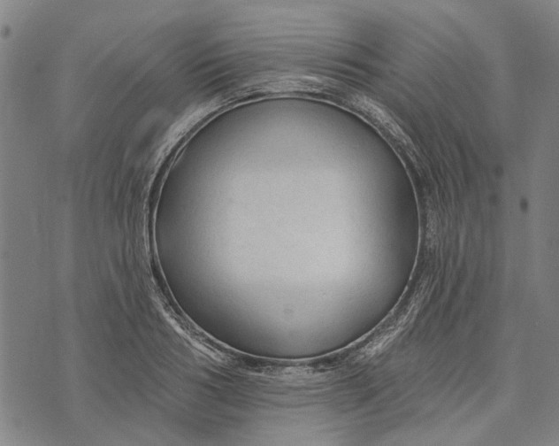 X0000073760986200608241407