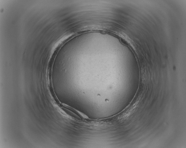 X0000073760987200608241407