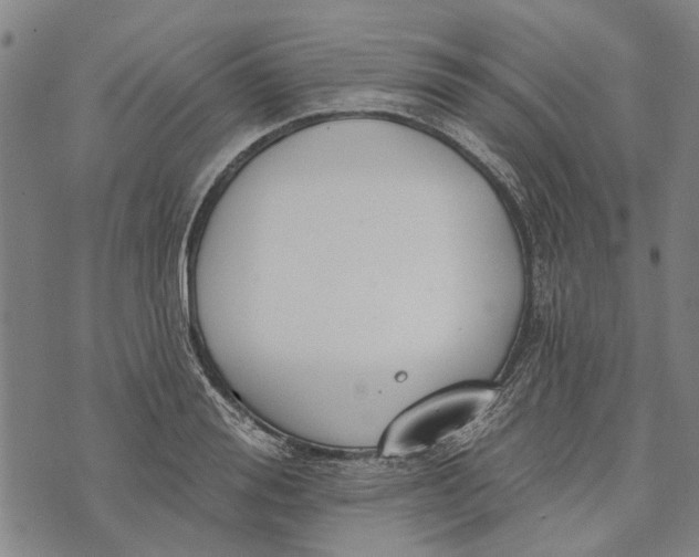 X0000073760988200608241407