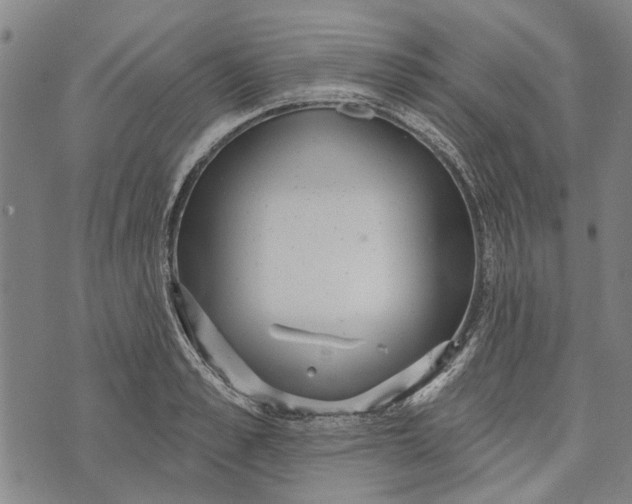 X0000073760989200608241407