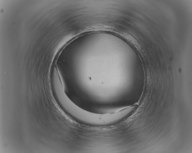 X0000073760990200608241407