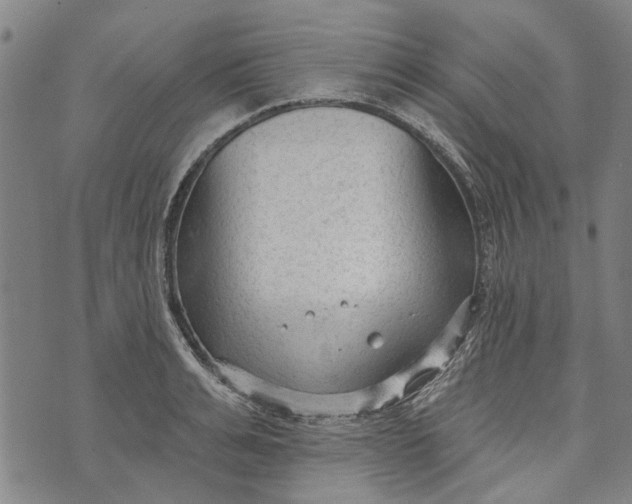 X0000073760991200608241407