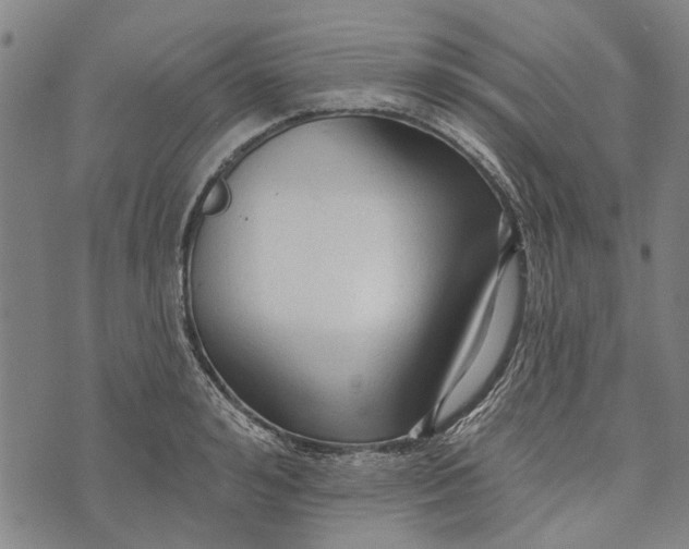 X0000073760992200608241407