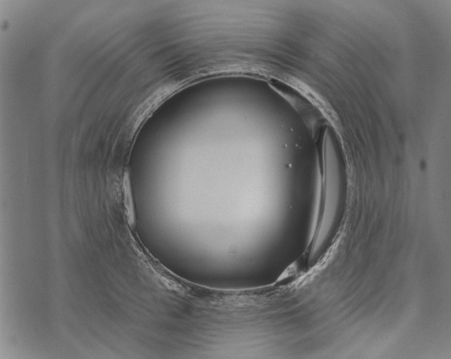 X0000073760993200608241407