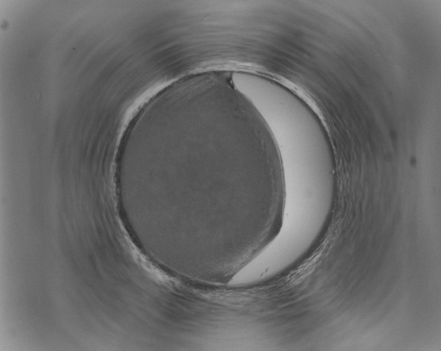 X0000073760995200608241407