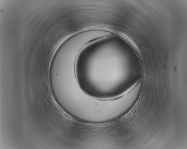 X0000073760996200608241407