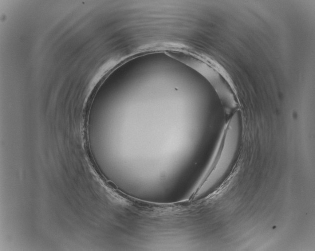 X0000073760997200608241407