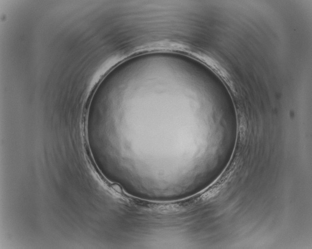 X0000073760998200608241407