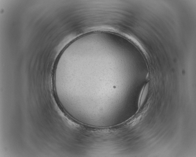 X0000073760999200608241407