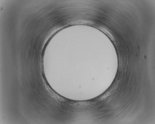 X0000073761000200608241407