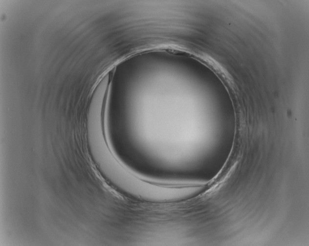 X0000073761001200608241407