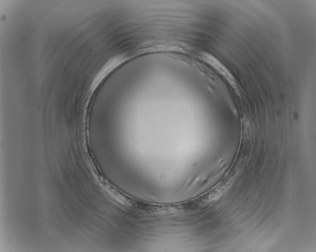 X0000073761002200608241407