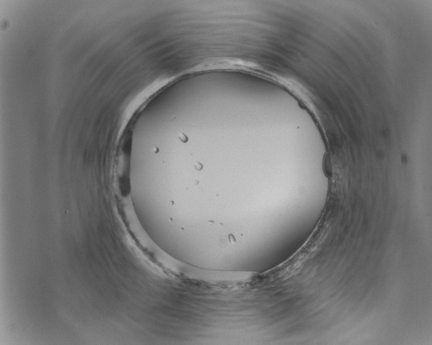 X0000073761003200608241407