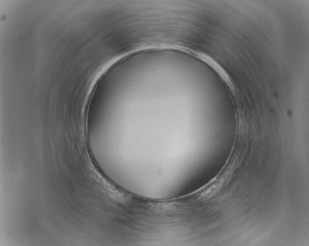 X0000073761004200608241407