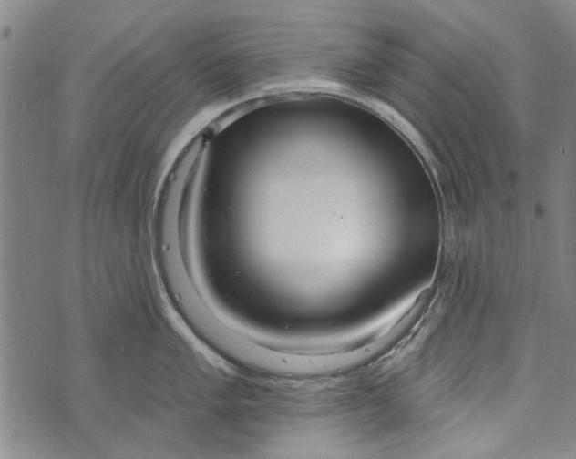 X0000073761005200608241407