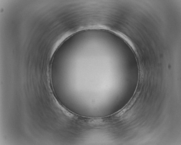 X0000073761006200608241407