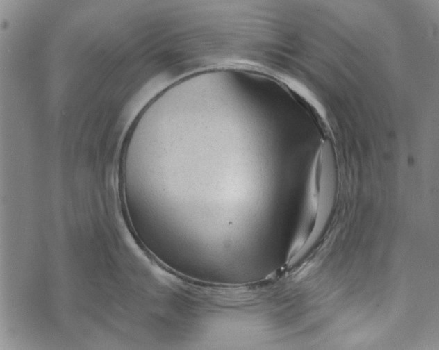 X0000073761007200608241407