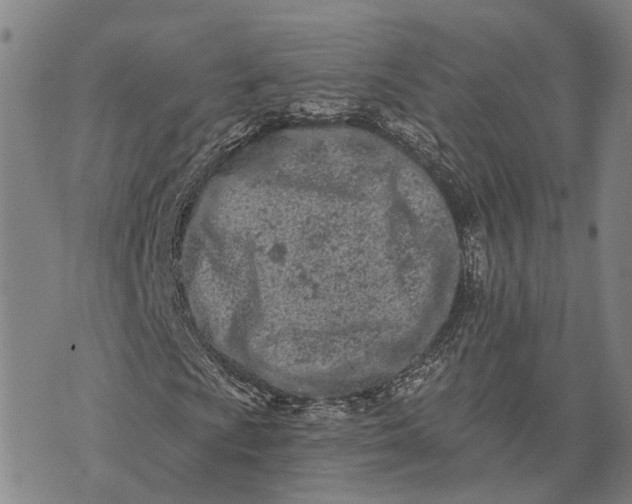 X0000073761009200608241406