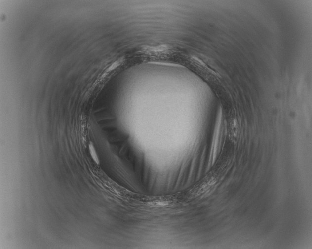 X0000073761010200608241406