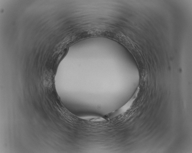 X0000073761012200608241406