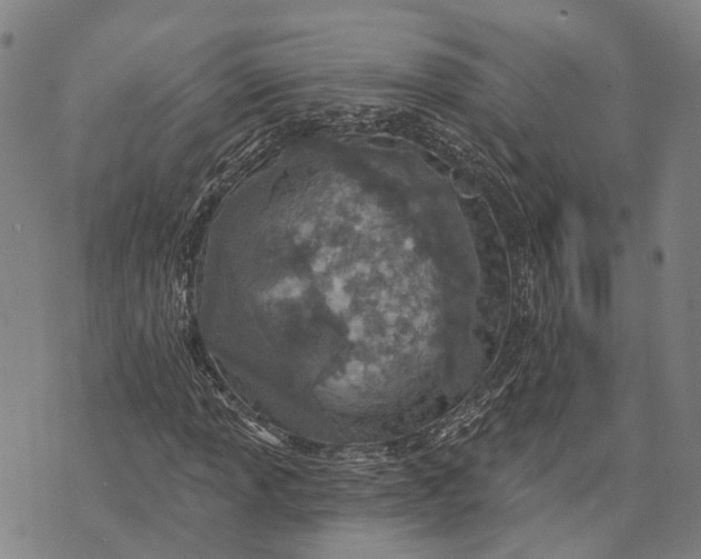 X0000073761013200608241406