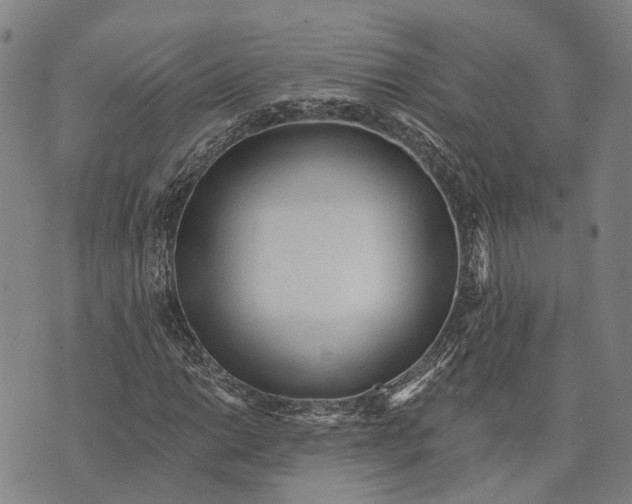 X0000073761014200608241406