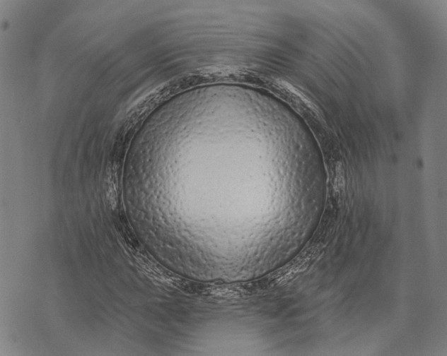 X0000073761015200608241406