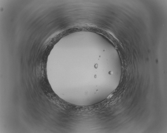 X0000073761016200608241406