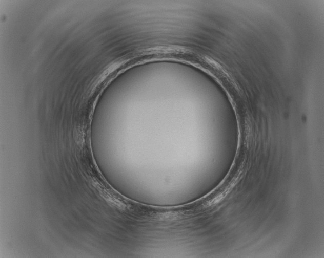 X0000073761017200608241406