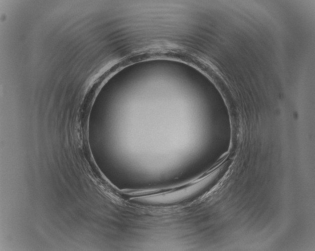 X0000073761018200608241406