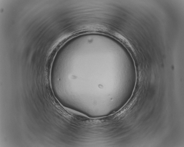 X0000073761019200608241406