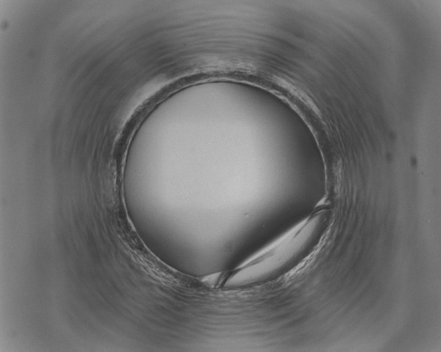 X0000073761021200608241406