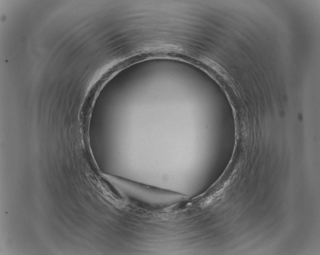 X0000073761022200608241406