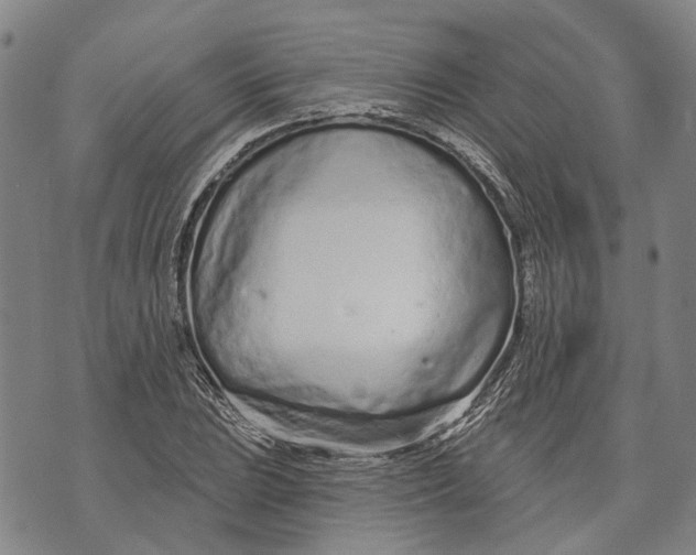 X0000073761023200608241407