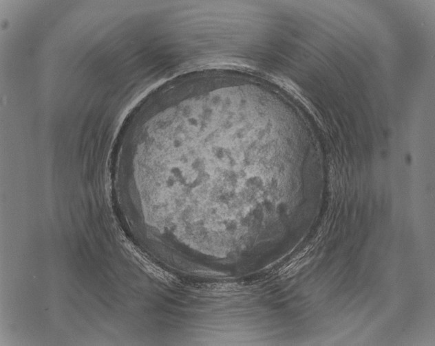 X0000073761024200608241407