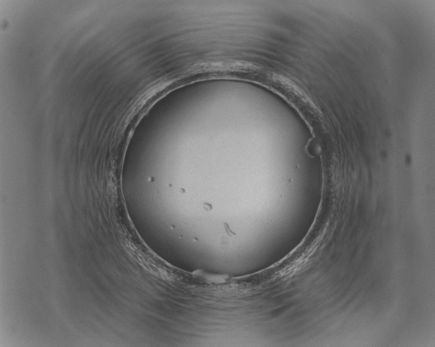 X0000073761025200608241407