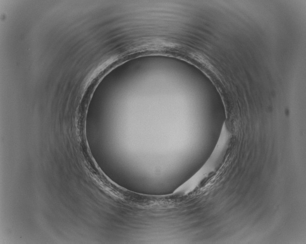 X0000073761026200608241407