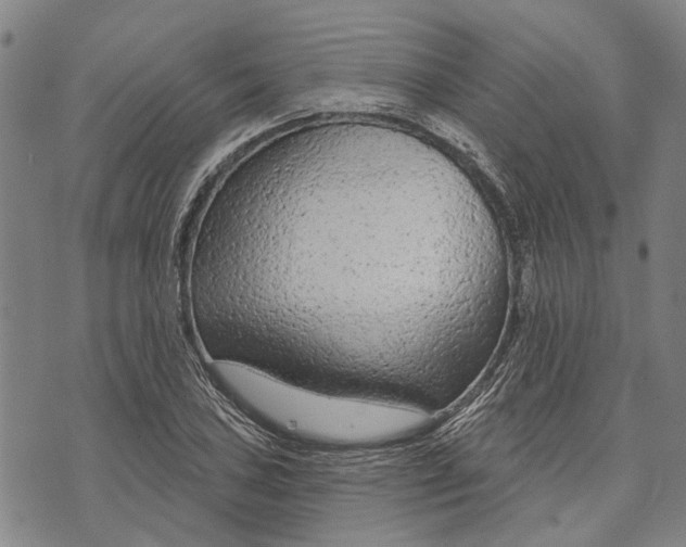 X0000073761027200608241407