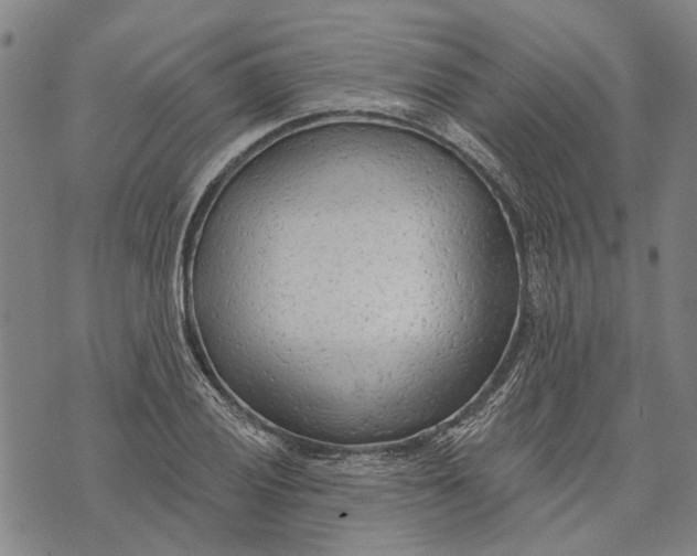 X0000073761028200608241407