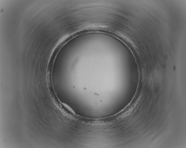 X0000073761029200608241407