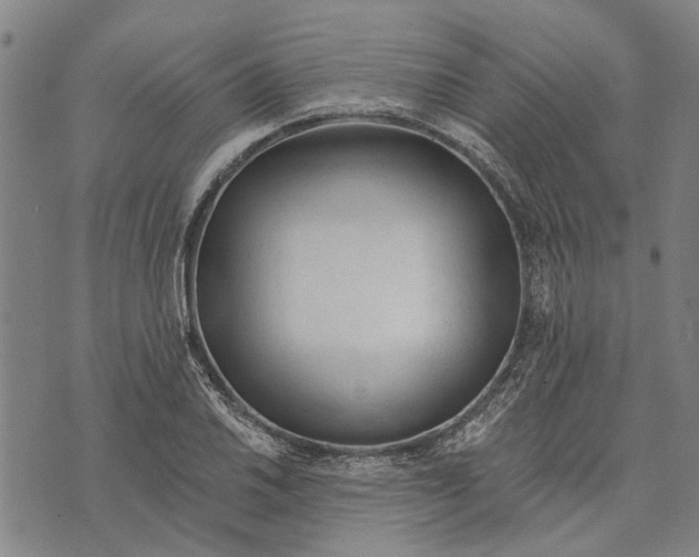 X0000073761030200608241407