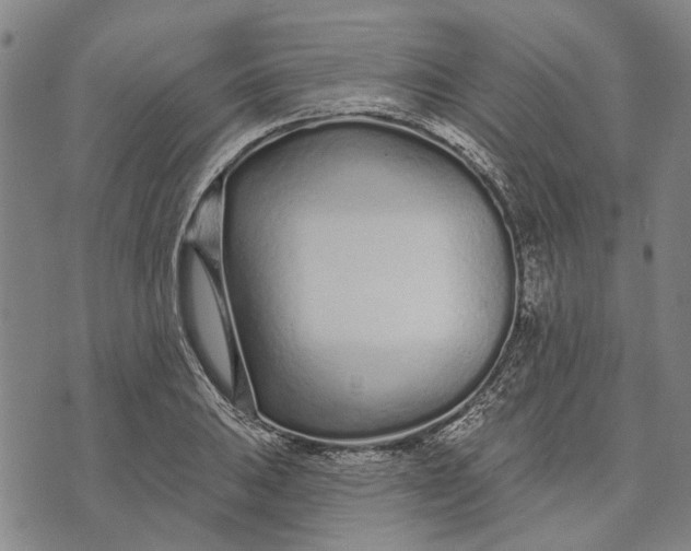 X0000073761031200608241407