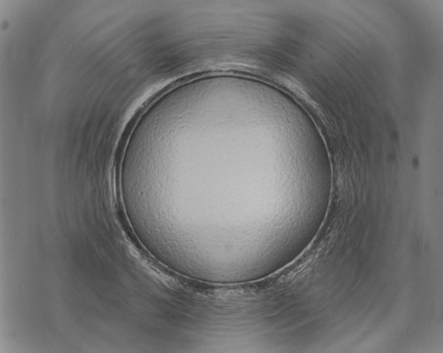 X0000073761032200608241407