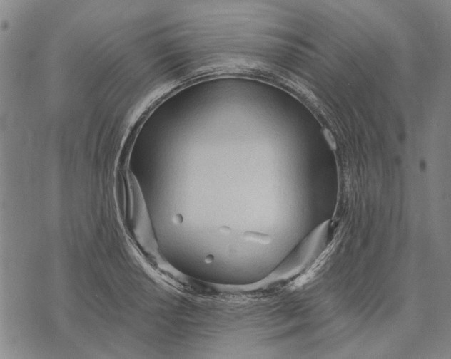 X0000073761034200608241407